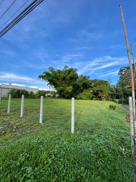 Foto Terreno en Venta en La Trocha, Guápiles, Limón - ¢ 20.000.000 - TEV80421 - BienesOnLine