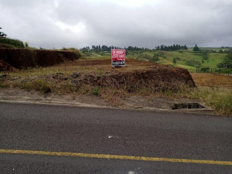 LOTE EN CIUDAD QUESADA CERCA DEL CENTRO