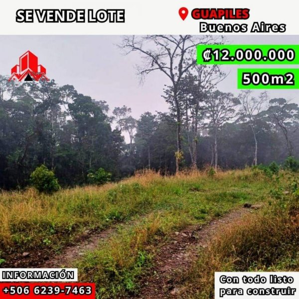 Foto Terreno en Venta en Guapiles, Guápiles, Limón - ¢ 12.000.000 - TEV101347 - BienesOnLine