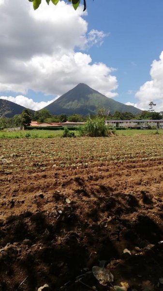 Foto Terreno en Venta en Fortuna, Alajuela - ¢ 170.000.000 - TEV38619 - BienesOnLine