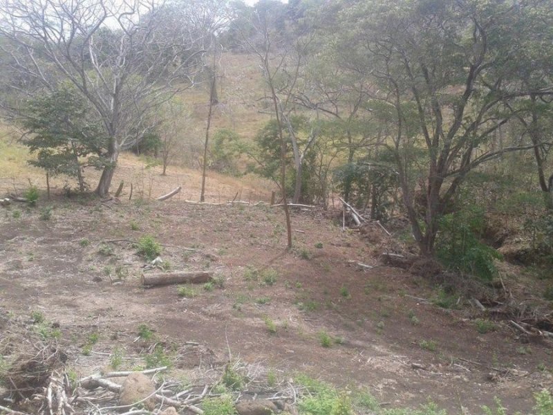 Foto Terreno en Venta en La Ceiba, Orotina, Alajuela - U$D 360.992 - TEV15169 - BienesOnLine