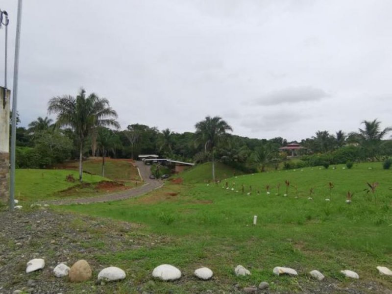 Foto Terreno en Venta en Las Brisas, Parrita, Puntarenas - ¢ 40.000.000 - TEV47862 - BienesOnLine