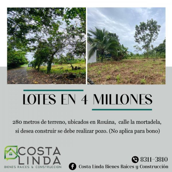 Foto Terreno en Venta en Guápiles, Pococí, Limón - ¢ 4.000.000 - TEV71064 - BienesOnLine