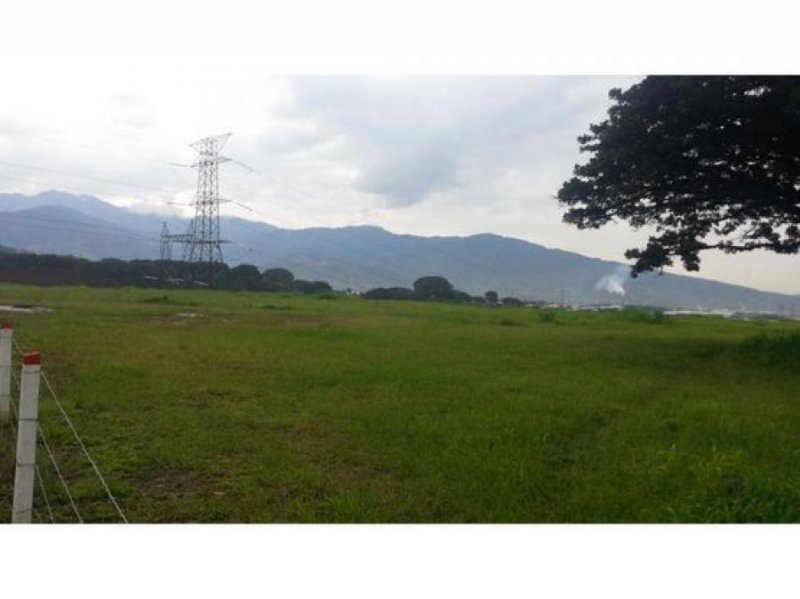 Foto Terreno en Venta en Alajuela, Alajuela - U$D 13.400.000 - TEV111728 - BienesOnLine