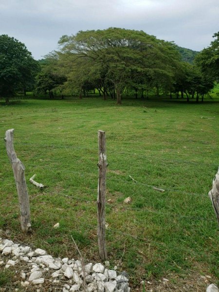 Foto Terreno en Venta en Santa Cruz, Guanacaste - U$D 385.000 - TEV36385 - BienesOnLine