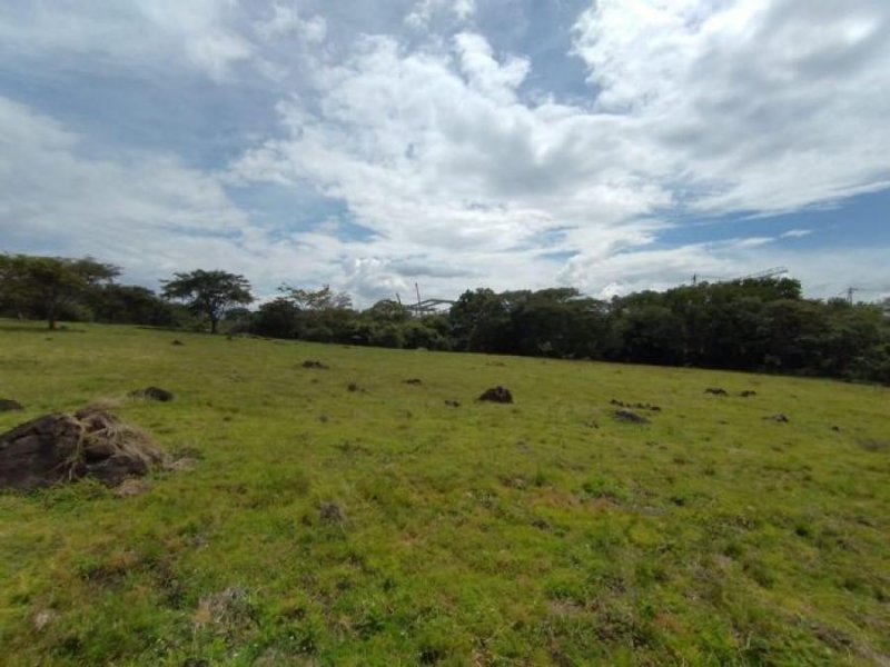 Foto Terreno en Venta en Alajuela, Alajuela - U$D 4.316.000 - TEV53435 - BienesOnLine