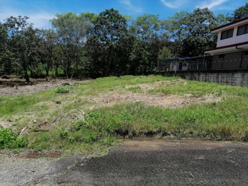 Terreno en Venta en  Naranjo, Alajuela