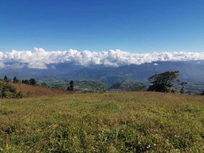 Terreno en Venta en  Alvarado, Cartago