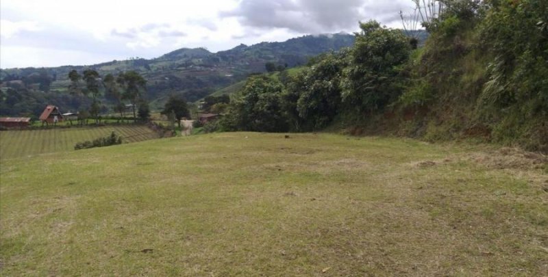 Foto Terreno en Venta en Alvarado, Cartago - U$D 160.000 - TEV51395 - BienesOnLine