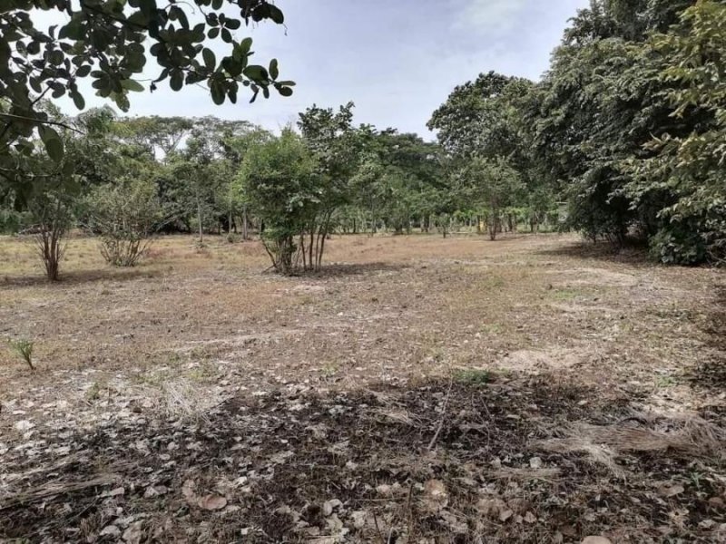 Terreno en Venta en  Carrillo, Guanacaste