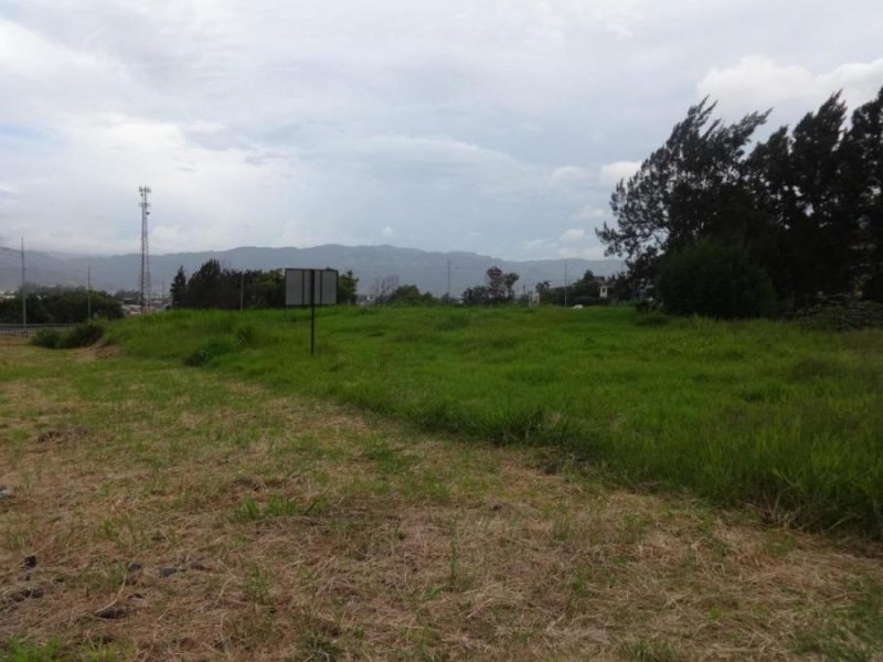 Foto Terreno en Venta en Cartago, Cartago - U$D 350.000 - TEV36287 - BienesOnLine