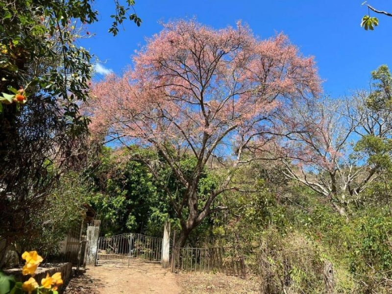 Foto Terreno en Venta en Chomes, Puntarenas - U$D 80.000 - TEV75571 - BienesOnLine