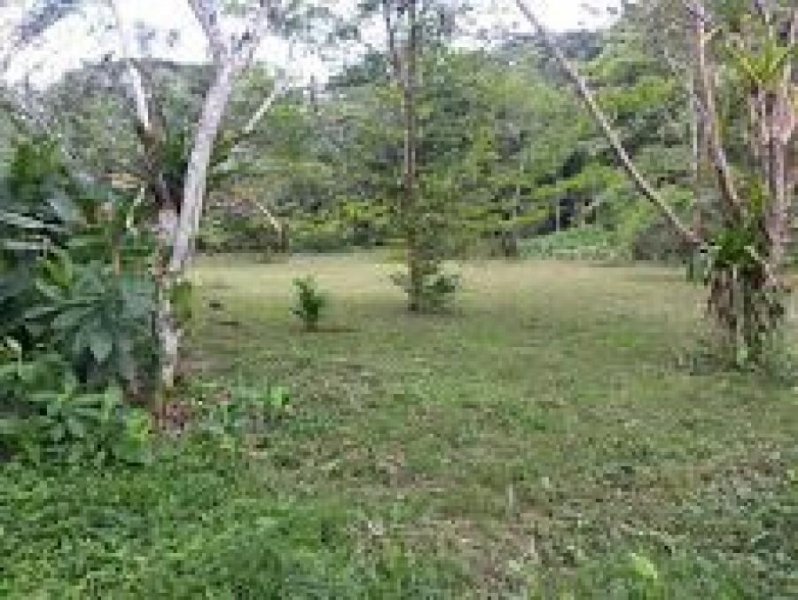 Foto Terreno en Venta en Garabito, Puntarenas - U$D 172.000 - TEV26886 - BienesOnLine