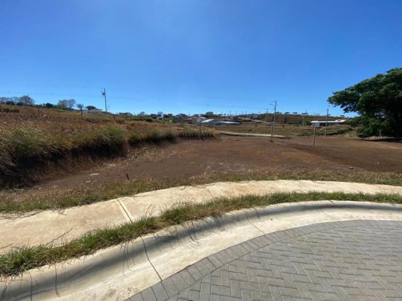 Foto Terreno en Venta en Grecia, Alajuela - U$D 46.000 - TEV27698 - BienesOnLine