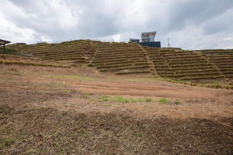 Foto Terreno en Venta en Grecia, Grecia, Alajuela - U$D 84.700 - TEV38867 - BienesOnLine