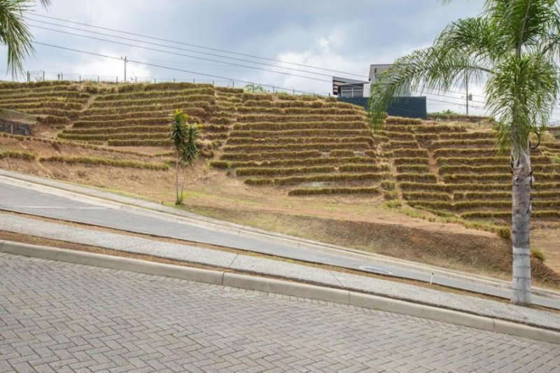 Foto Terreno en Venta en Grecia, Alajuela - U$D 81.200 - TEV45690 - BienesOnLine