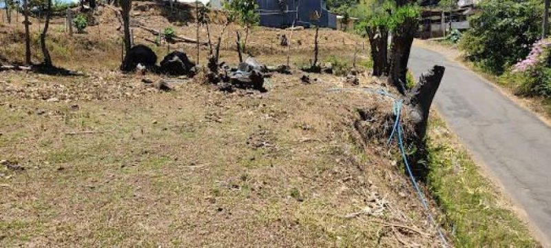 Foto Terreno en Venta en Grecia, Alajuela - ¢ 16.500.000 - TEV51742 - BienesOnLine