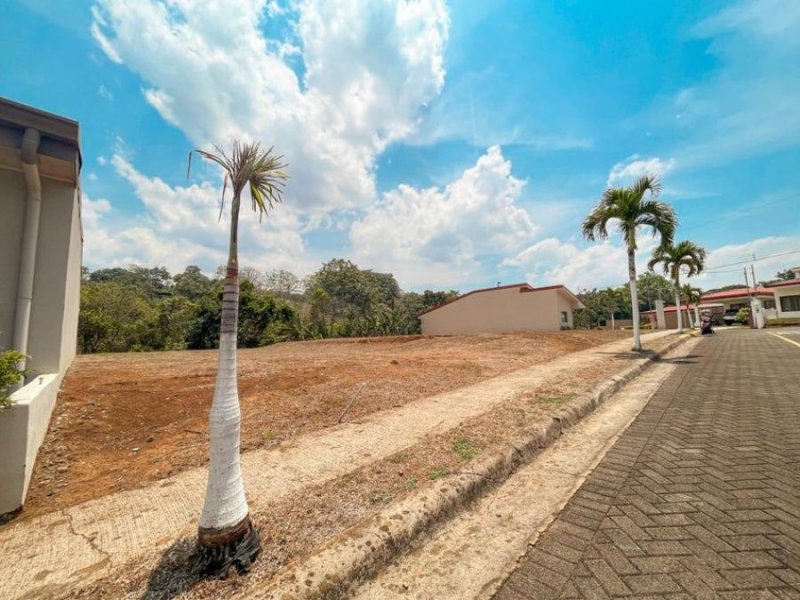 Foto Terreno en Venta en Grecia, Alajuela - ¢ 26.000.000 - TEV73548 - BienesOnLine