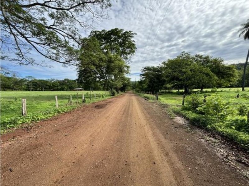 Finca en Venta en  Carrillo, Guanacaste