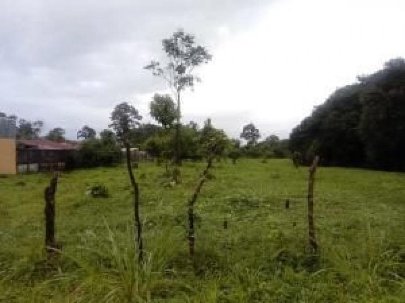 Foto Terreno en Venta en Guápiles, Limón - U$D 21.000 - TEV22865 - BienesOnLine