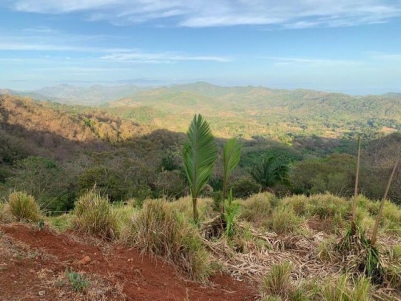 Terreno en Venta en  Hojancha, Guanacaste