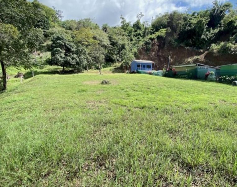 Foto Terreno en Venta en Jacó, Garabito, Puntarenas - U$D 250.000 - TEV44776 - BienesOnLine