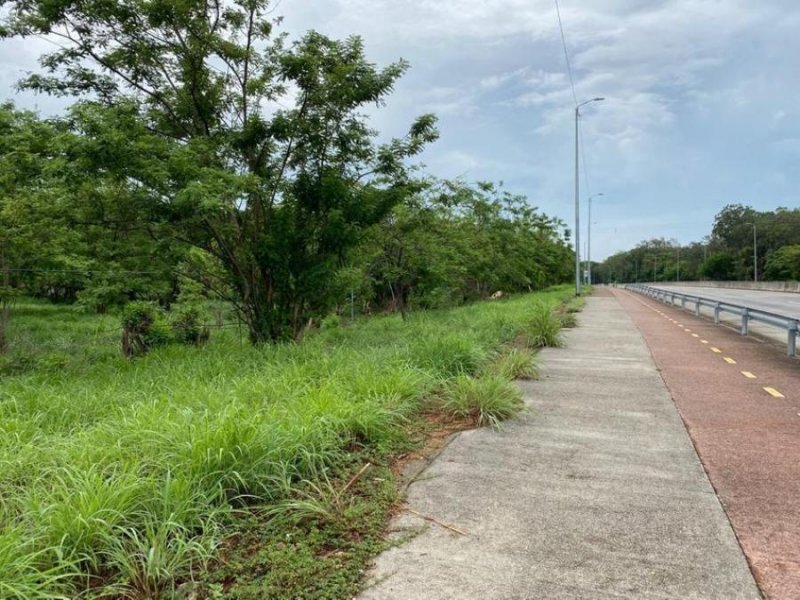 Foto Terreno en Venta en Liberia, Guanacaste - U$D 160.000 - TEV45144 - BienesOnLine