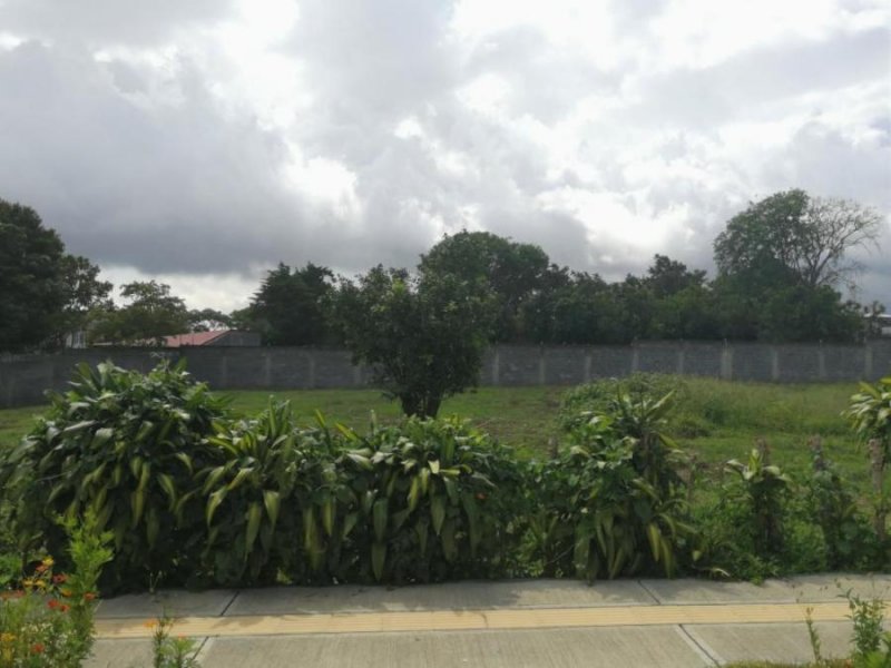 Foto Terreno en Venta en Mercedes, Heredia, Heredia - U$D 750.000 - TEV29292 - BienesOnLine