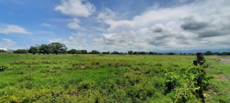 Terreno en Venta en  Montes de Oro, Puntarenas