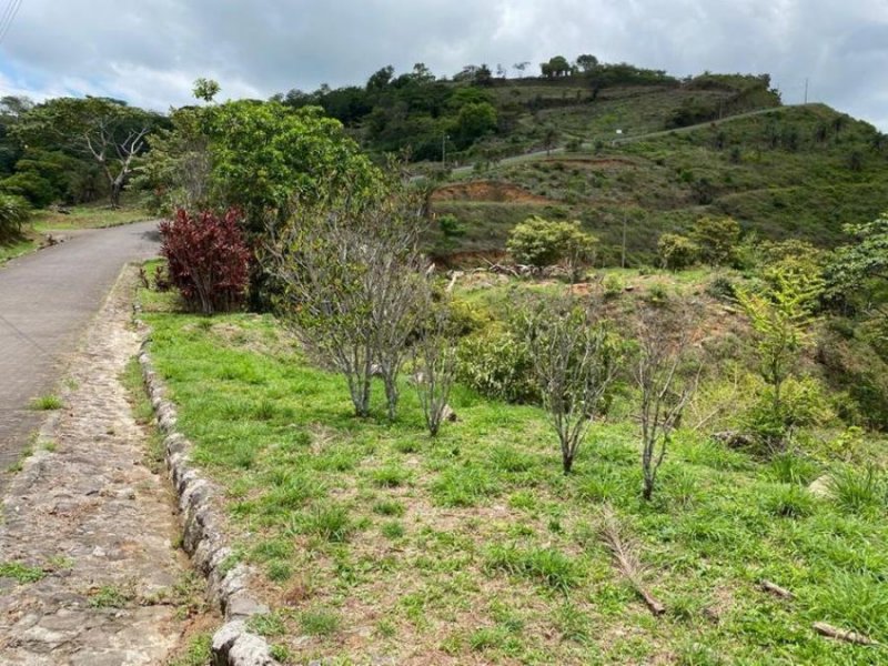 Foto Terreno en Venta en Orotina, Alajuela - U$D 77.000 - TEV46098 - BienesOnLine