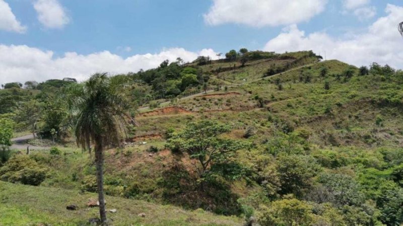 Terreno en Venta en  Orotina, Alajuela