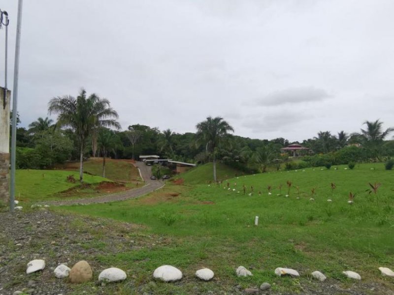 Foto Terreno en Venta en Parrita, Puntarenas - U$D 64.000 - TEV47343 - BienesOnLine