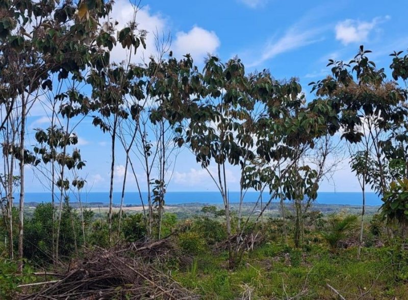 Terreno en Venta en  Parrita, Puntarenas