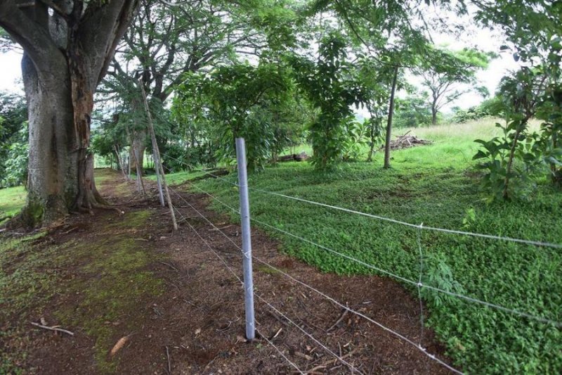 Foto Terreno en Venta en Poás, Alajuela - U$D 690.000 - TEV51058 - BienesOnLine