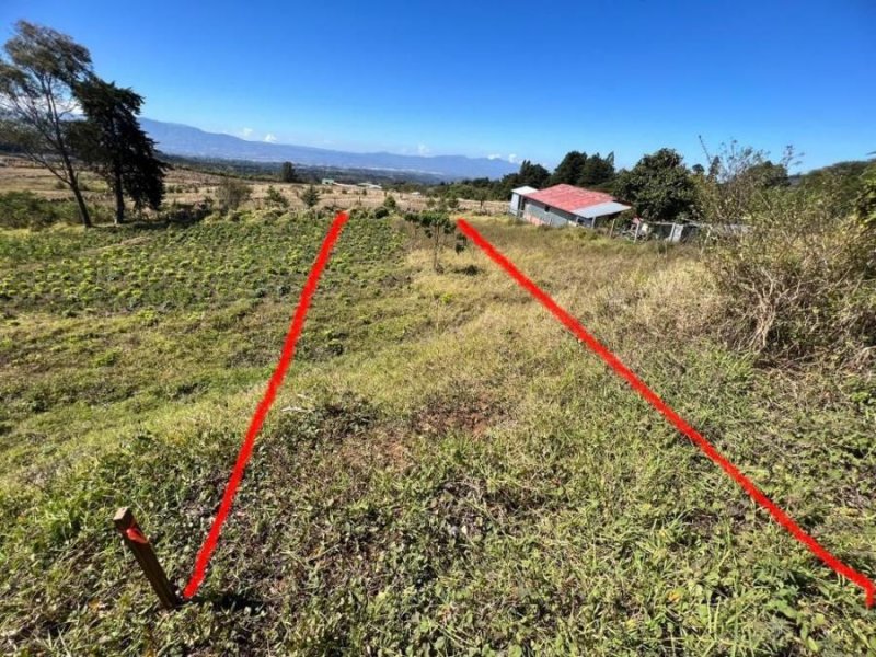 Foto Terreno en Venta en Poás, Alajuela - U$D 59.000 - TEV75348 - BienesOnLine