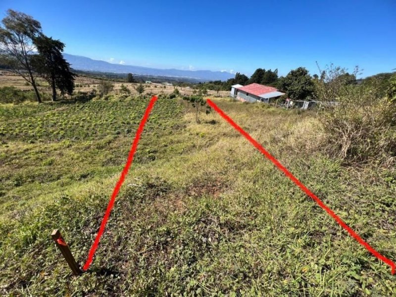 Foto Terreno en Venta en Poás, Alajuela - ¢ 32.000.000 - TEV78848 - BienesOnLine