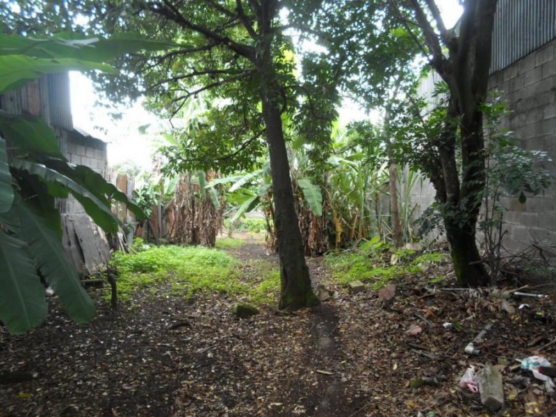 Foto Terreno en Venta en San Francisco Dos Rios, San José, San José - ¢ 100.000.000 - TEV28152 - BienesOnLine