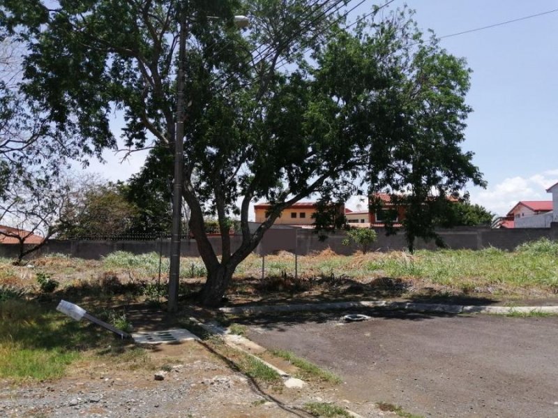 Foto Terreno en Venta en San Pablo, Heredia - U$D 335.000 - TEV53090 - BienesOnLine