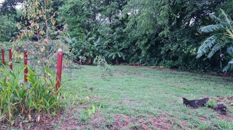 Foto Terreno en Venta en San Rafael, Alajuela - ¢ 22.000.000 - TEV71654 - BienesOnLine