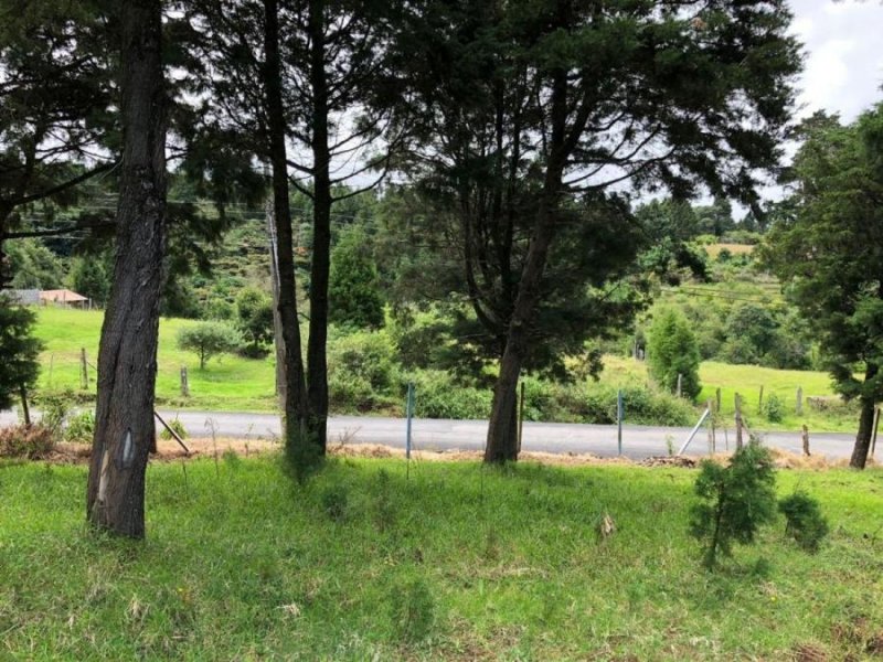 Foto Terreno en Venta en San Rafael, Heredia - ¢ 65.000.000 - TEV45487 - BienesOnLine