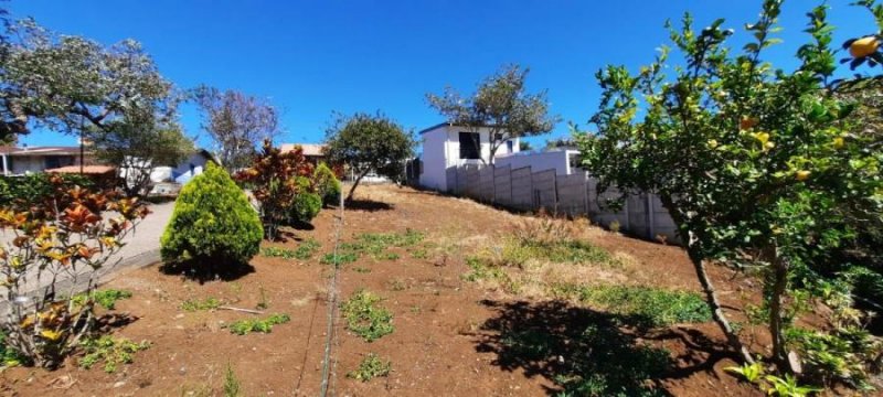 Foto Terreno en Venta en San Rafael, Heredia - ¢ 50.000.000 - TEV64439 - BienesOnLine