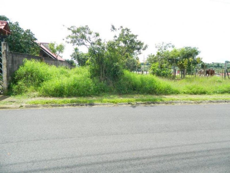 Foto Terreno en Venta en Santa Bárbara, Heredia - ¢ 125.000.000 - TEV35416 - BienesOnLine