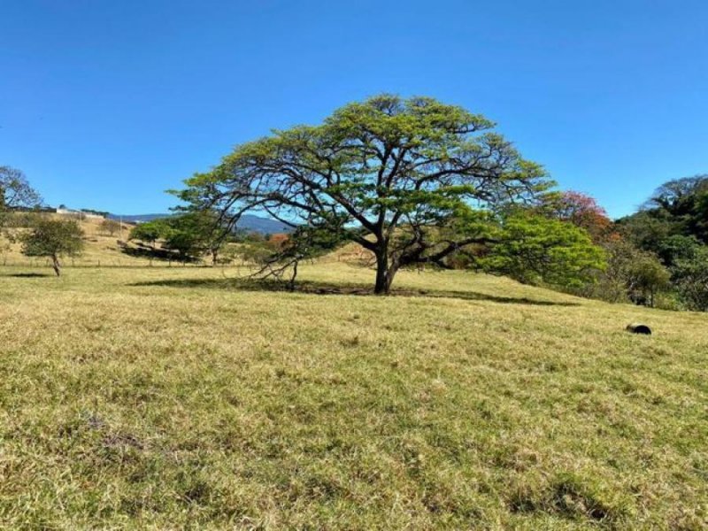 Foto Terreno en Venta en Santa Bárbara, Heredia - U$D 650.485 - TEV57843 - BienesOnLine