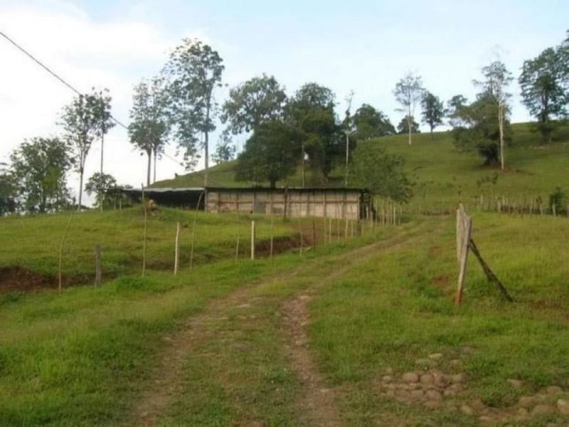 Foto Terreno en Venta en Sarapiquí, Heredia - U$D 700.000 - TEV54901 - BienesOnLine