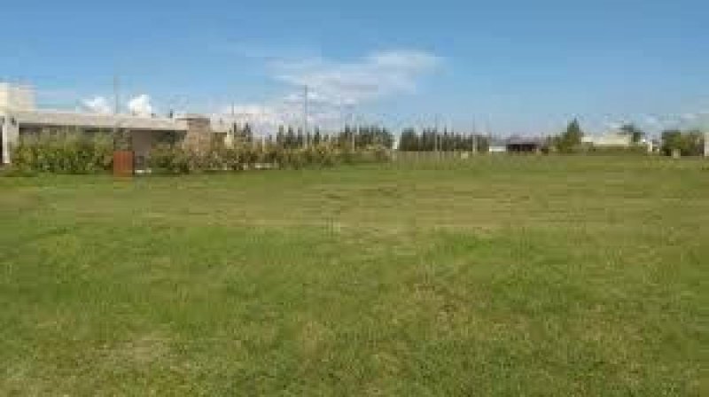 Foto Terreno en Venta en La Rita, Limón - ¢ 7.000.000 - TEV22992 - BienesOnLine