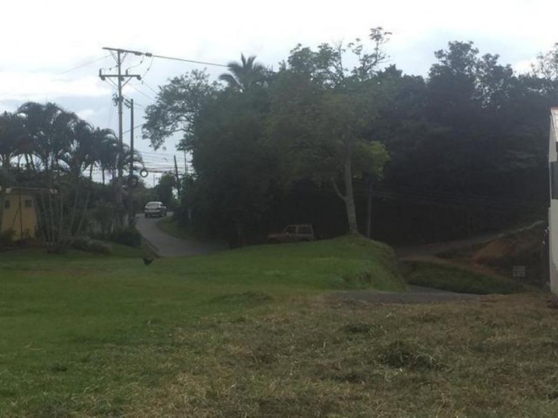 Terreno en Venta en  Poás, Alajuela