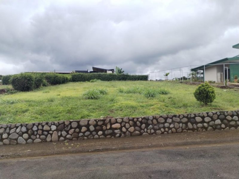 Foto Terreno en Venta en La Cueva, Naranjo, Alajuela - ¢ 36.000.000 - TEV111405 - BienesOnLine