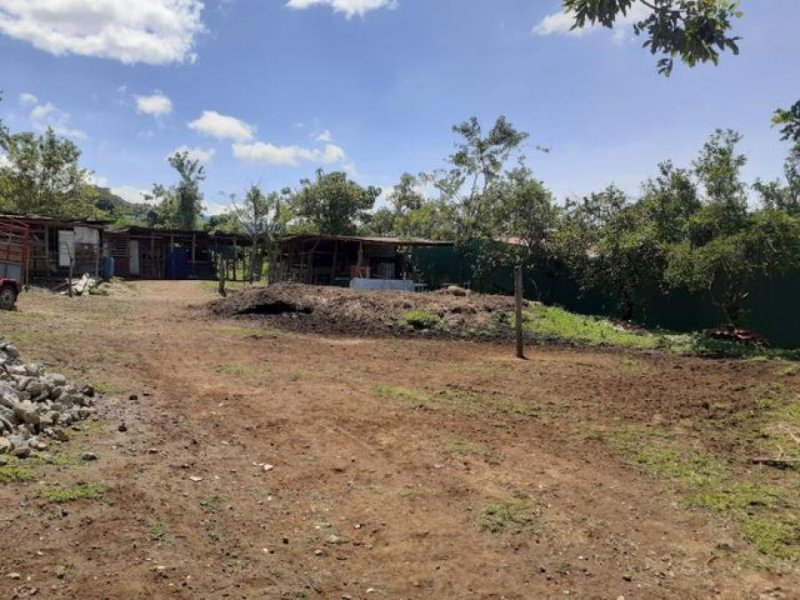 Foto Terreno en Venta en Santa Bárbara, Heredia - ¢ 100.000.000 - TEV55369 - BienesOnLine