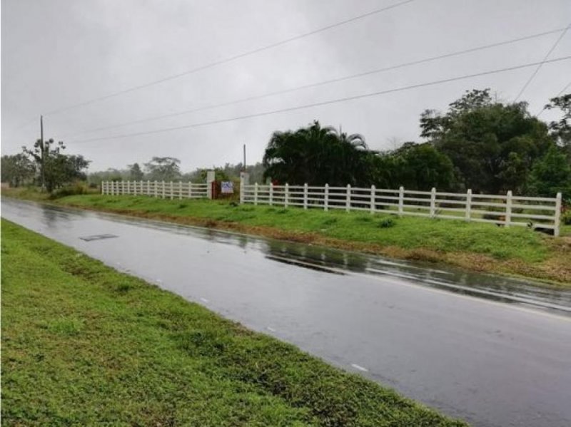 Terreno en Venta en  Sarapiquí, Heredia