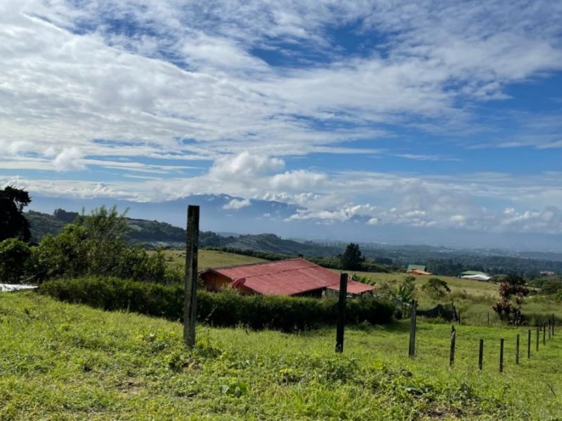 Terreno en Venta en Sabana Redonda Poás, Alajuela